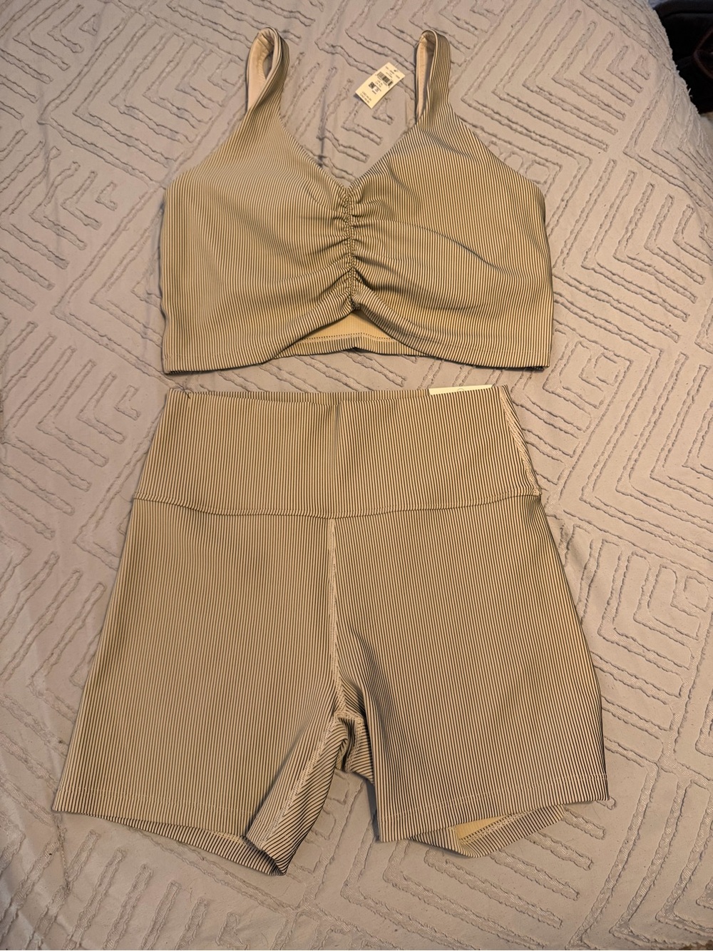 NWT Offline Aerie Striped Ribbed High-Waist Shorts and Ruched Low Key Sports Bra
